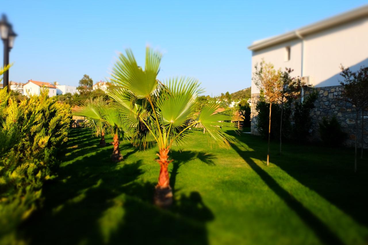 Kalina Hotel داتْشا المظهر الخارجي الصورة